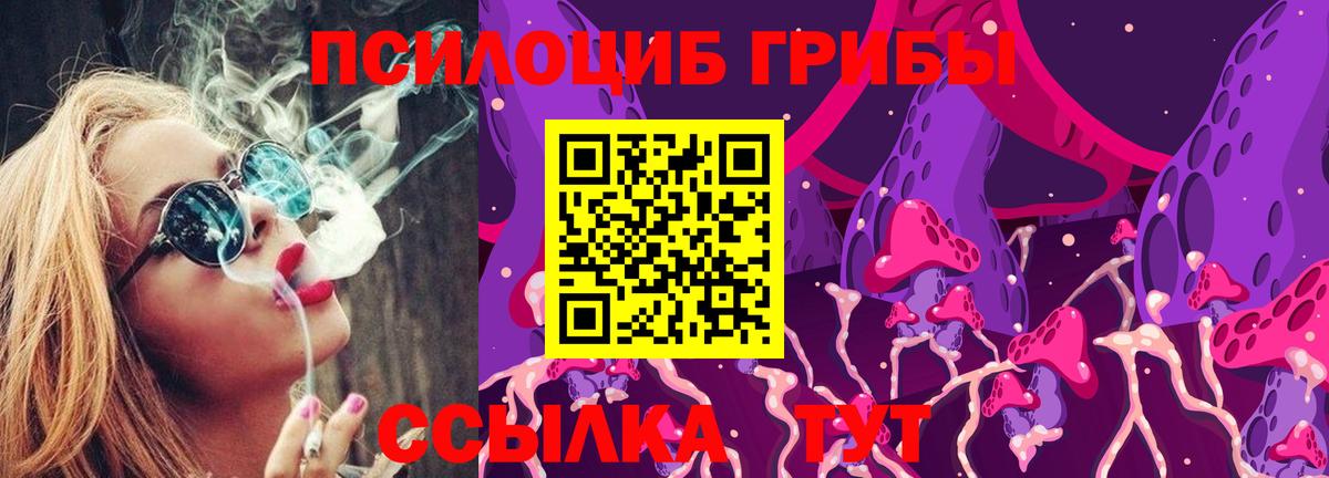 Кумертау  Псилоцибиновые грибы MAGIC MUSHROOMS  Вход с VPN 